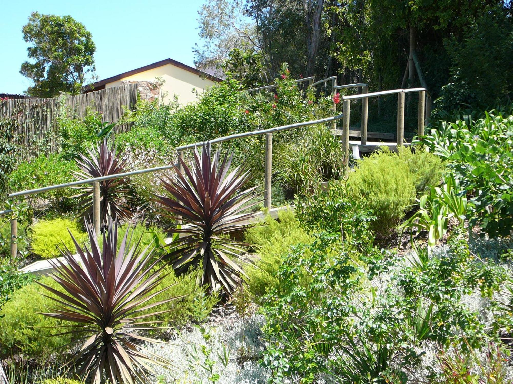 Double Dutch B & B Knysna Esterno foto